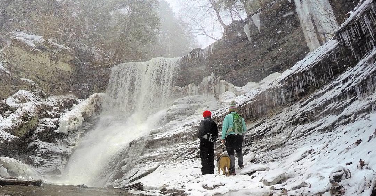 water fall in the winter, two people dressed in winter coats and a dog view a water fall in th winter